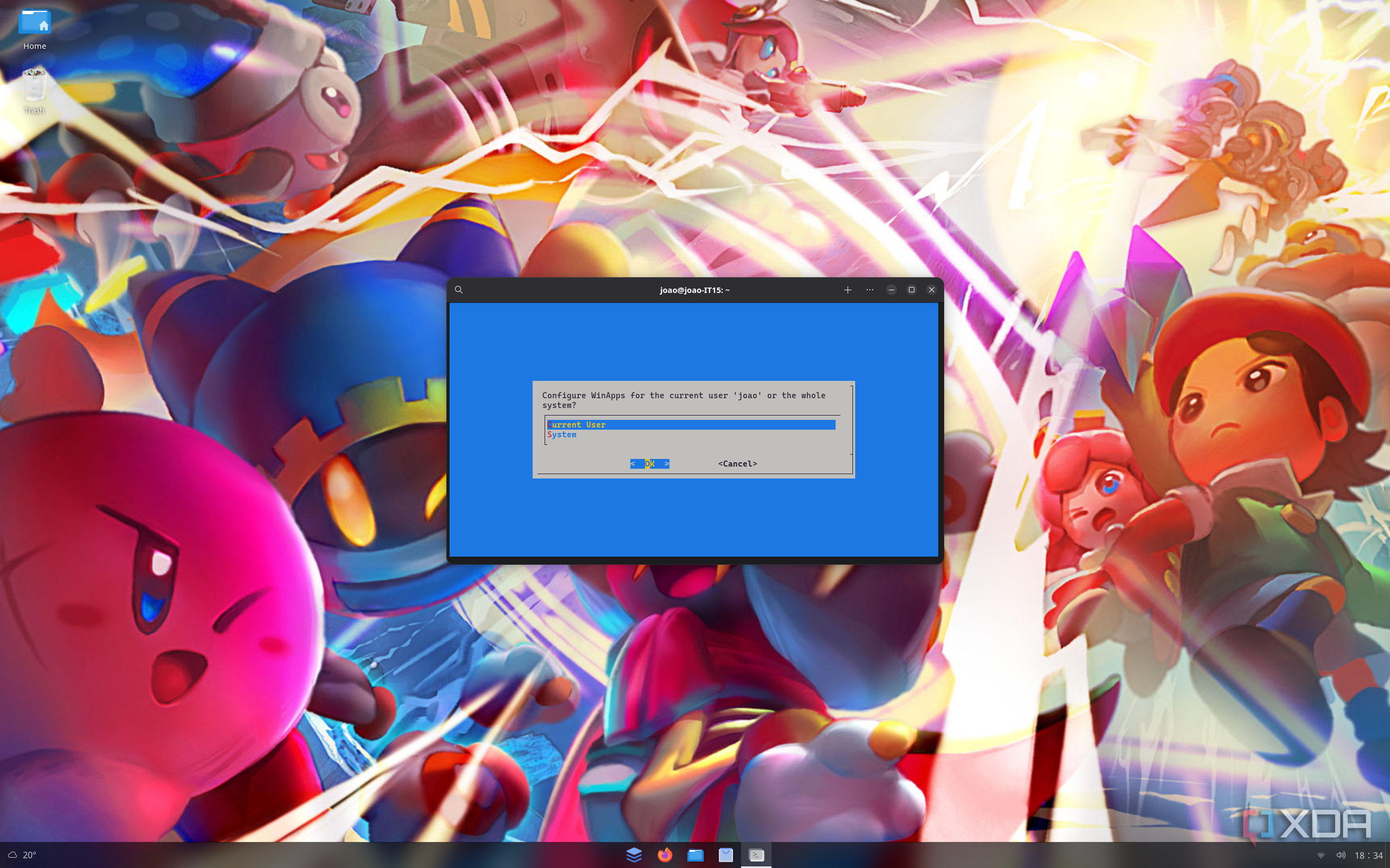 Screenshot of a Linux desktop showing the WinApps setup asking the user whether to install the program for the current user or the entire system
