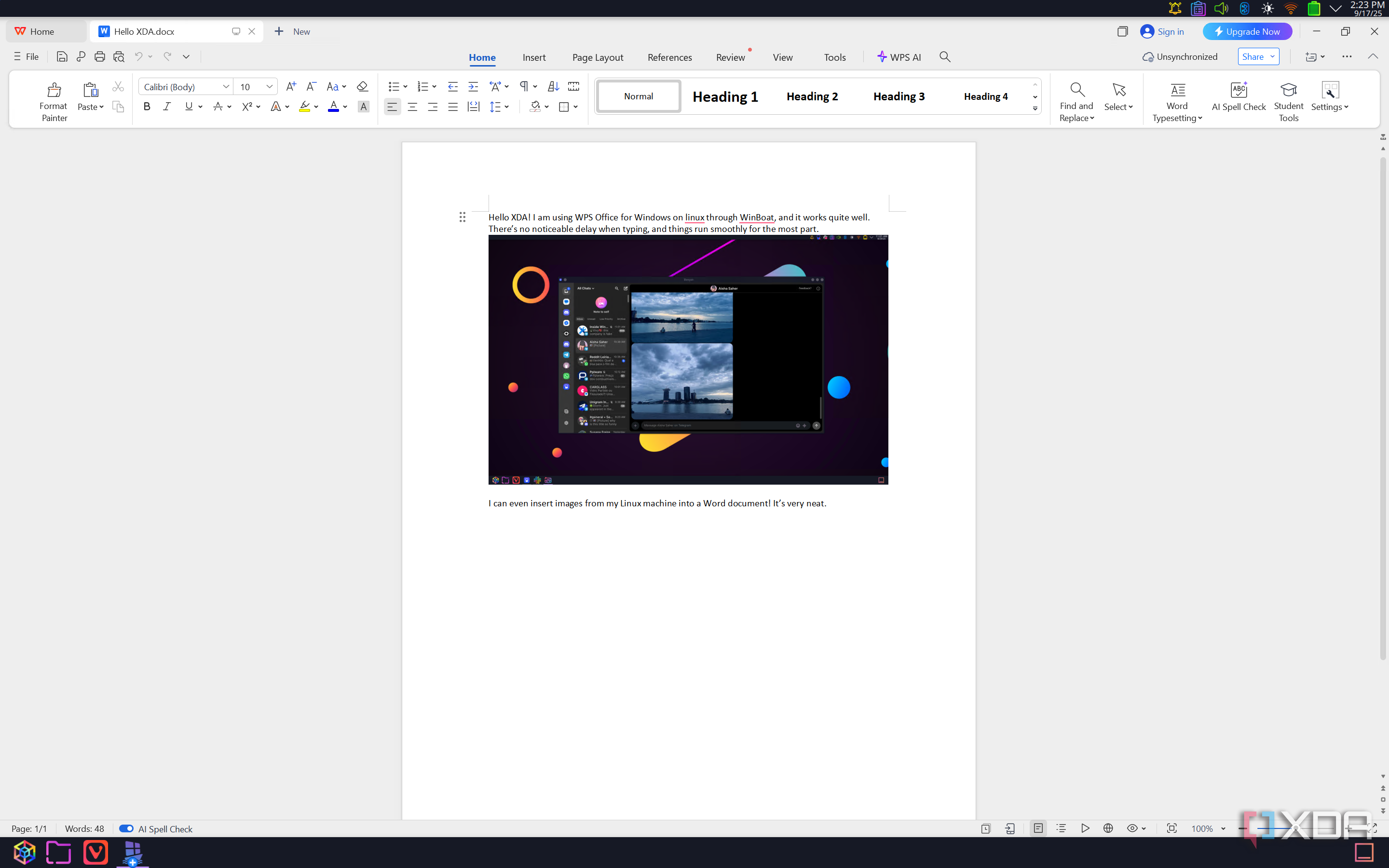 Screenshot of WPS Office showing a document with text and an image