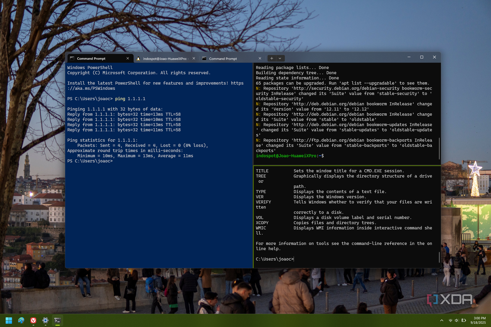Screenshot of Windows Terminal on Windows 11 with multiple panes open