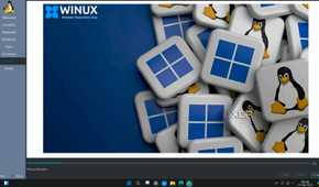 Winux installing