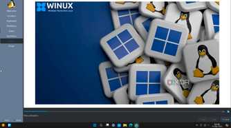 Winux installing