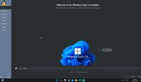 Winux installer