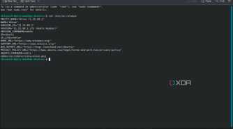 Winux Linux distro