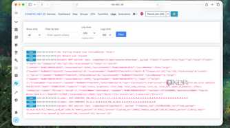 Checking logs in the zigbee2mqtt interface in Home Assistant