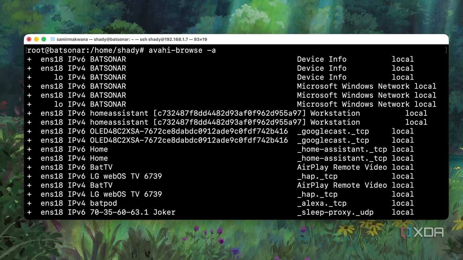 Conducting an Avahi Multicast flooding test from the Terminal