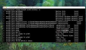 Conducting an Avahi Multicast flooding test from the Terminal