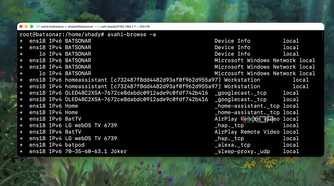 Conducting an Avahi Multicast flooding test from the Terminal
