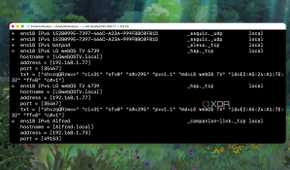 Using Avahi resolve command to distinguish devices by IP address