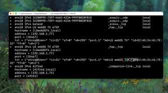 Using Avahi resolve command to distinguish devices by IP address