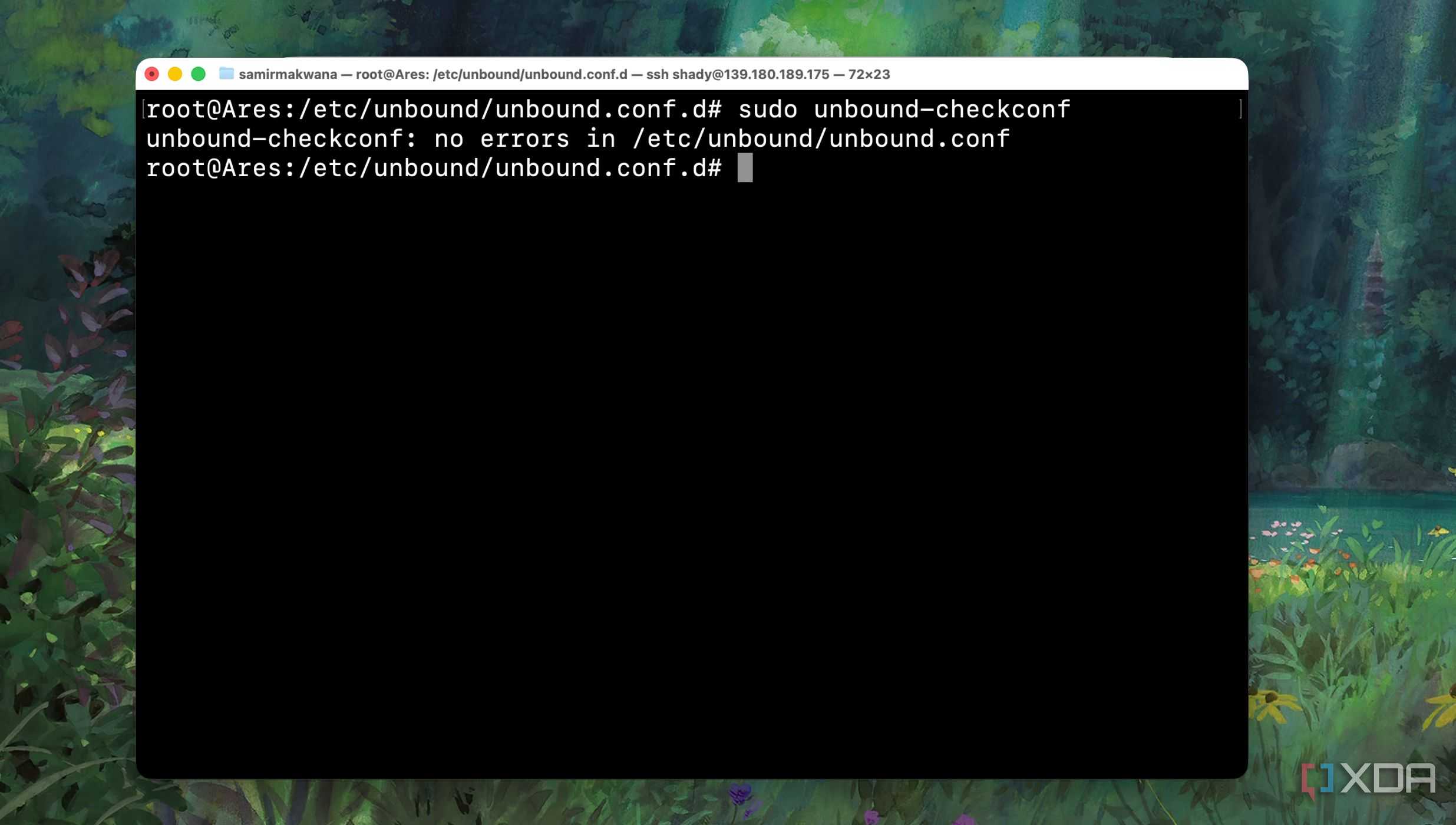 Inspecting the Unbound DNS Configuration