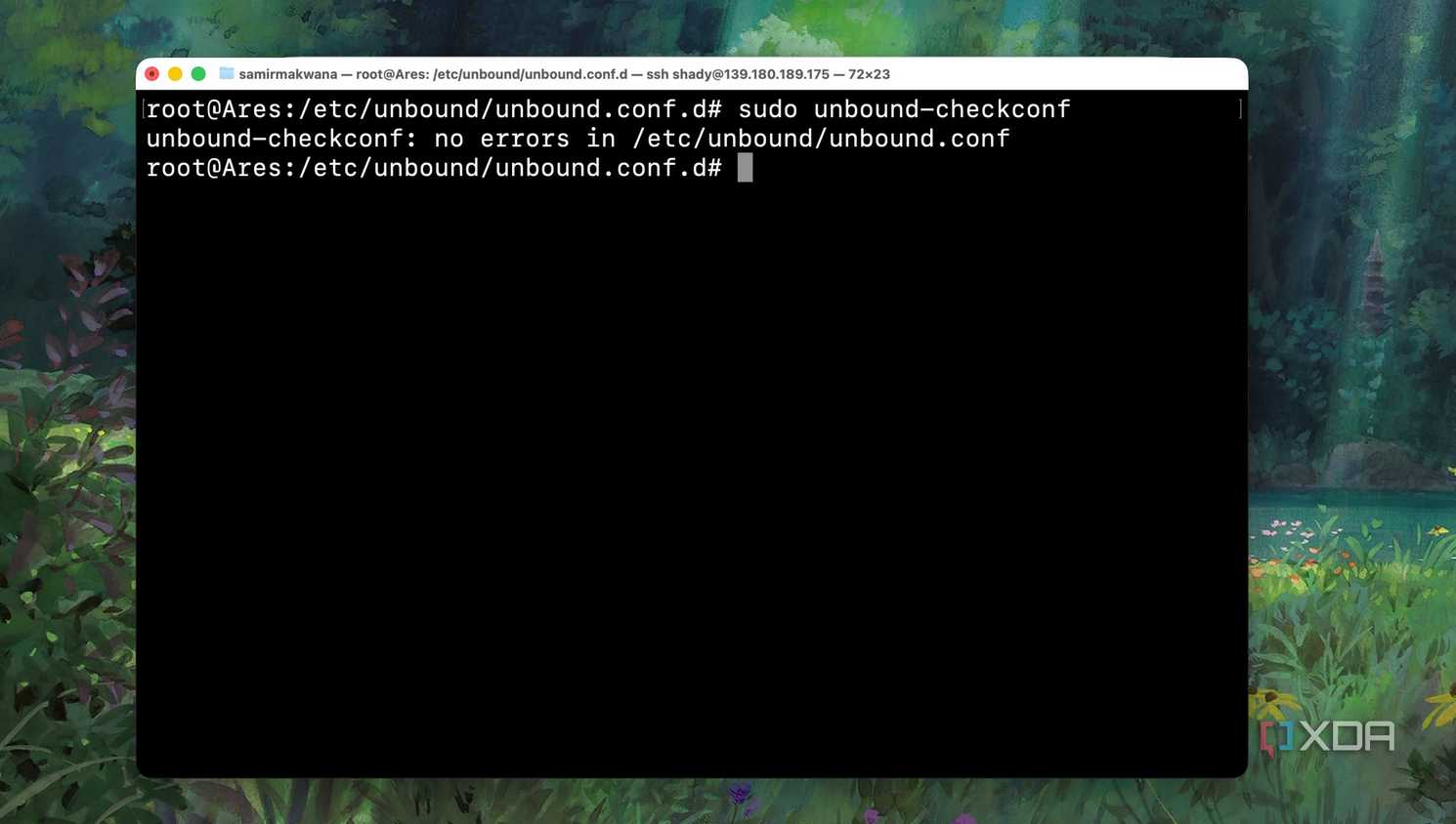 Inspecting the Unbound DNS Configuration