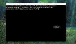 Inspecting the Unbound DNS Configuration