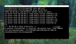 Testing the WireGuard Configuration and getting the result