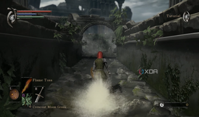 Demon's Souls 2009 running on RPCS3.