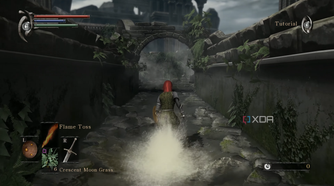 Demon's Souls 2009 running on RPCS3.