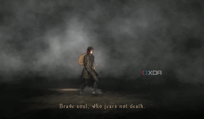 Demon's Souls 2009 running on RPCS3.