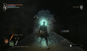 Demon's Souls 2009 running on RPCS3.