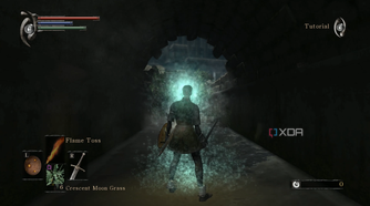 Demon's Souls 2009 running on RPCS3.