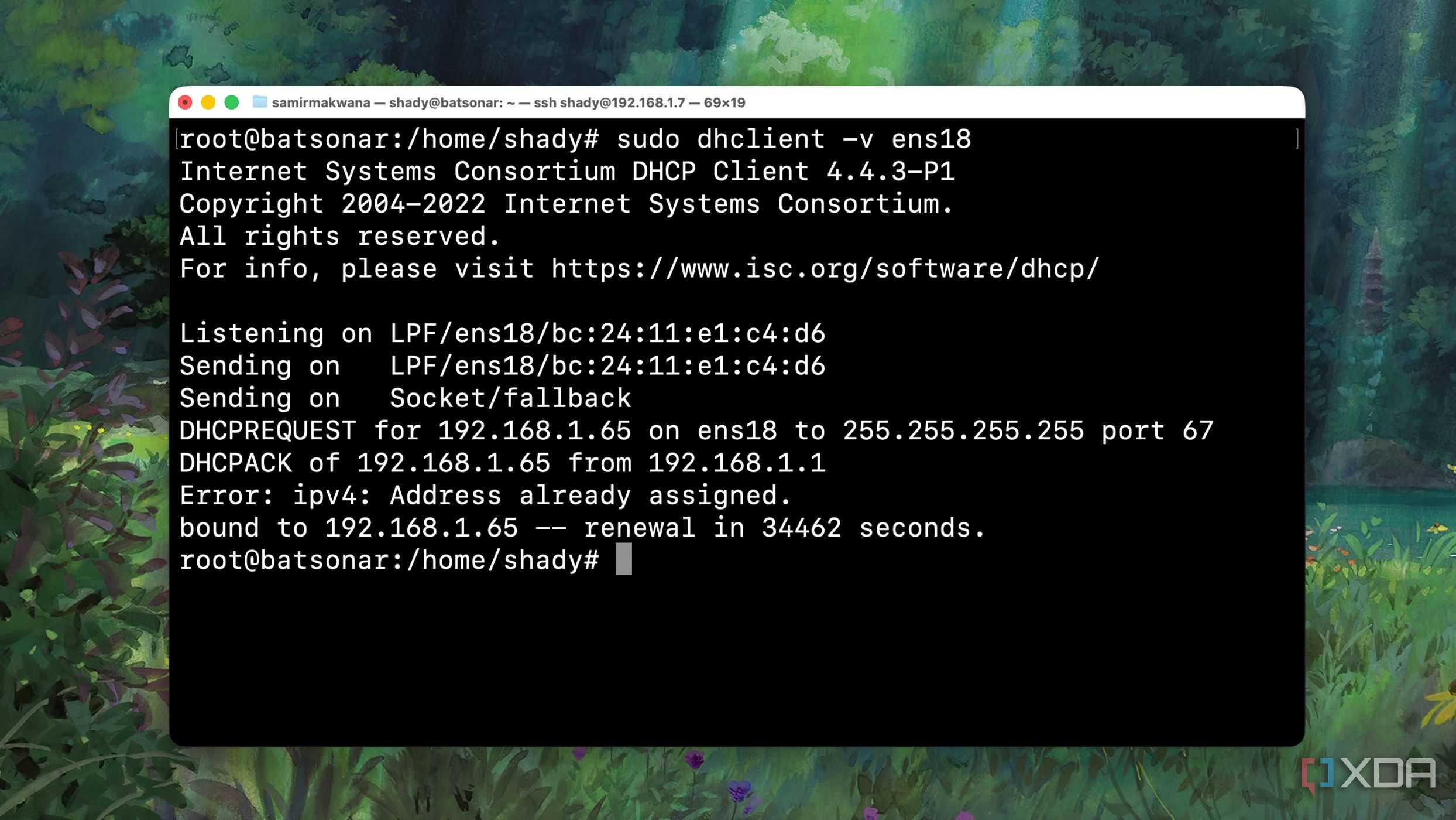Using the DHCP client command to check details of an interface from Terminal