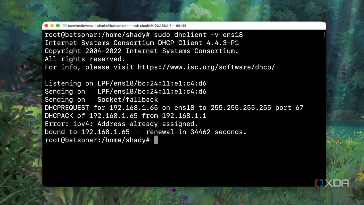 Using the DHCP client command to check details of an interface from Terminal