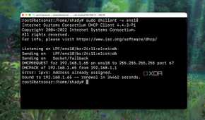 Using the DHCP client command to check details of an interface from Terminal