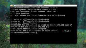 Using the DHCP client command to check details of an interface from Terminal