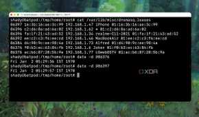 Checking the DHCP Lease Expiry time using Terminal commands