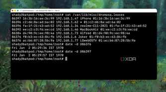 Checking the DHCP Lease Expiry time using Terminal commands