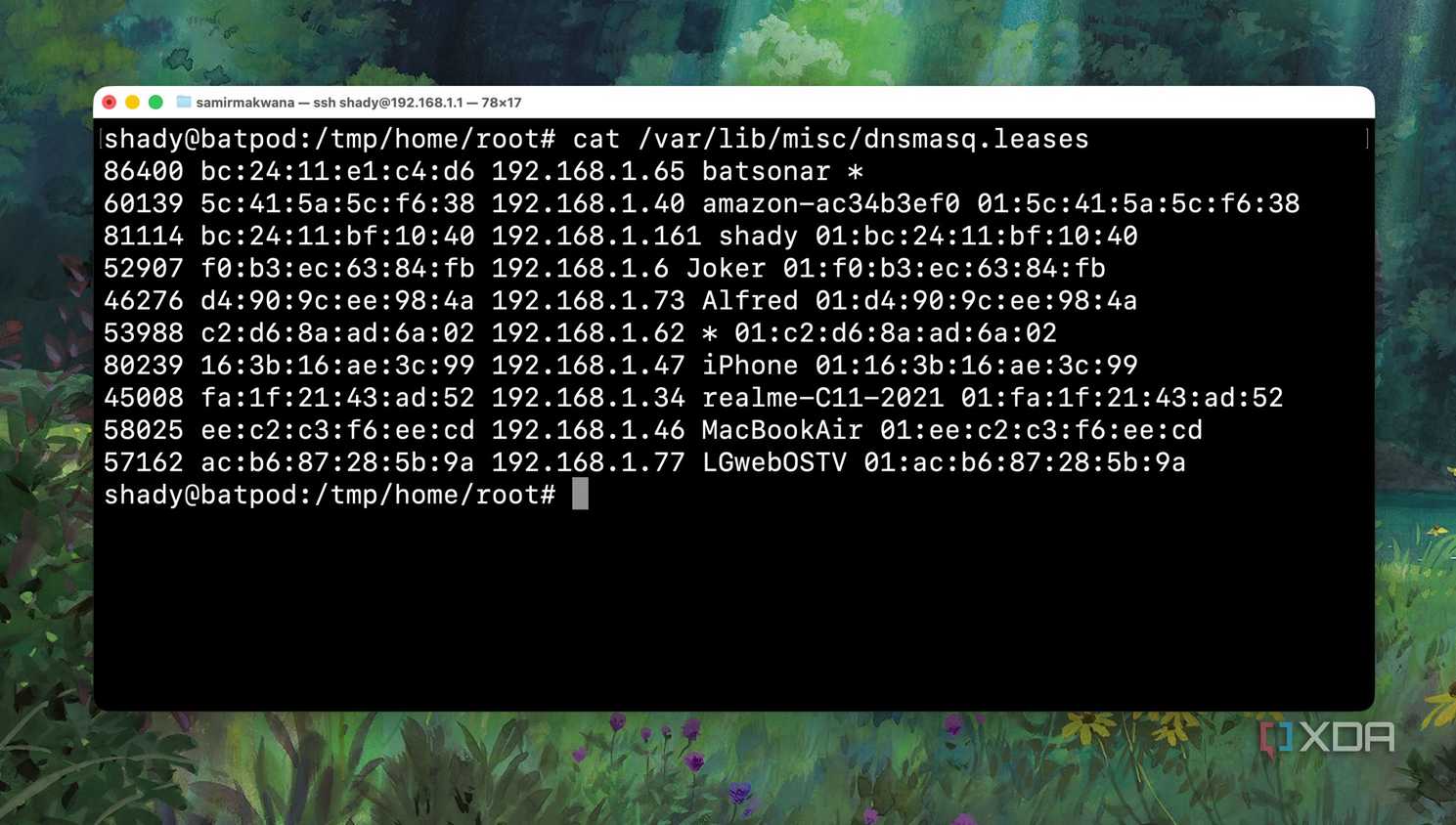 Checking the DHCP Leases log of Router from Terminal