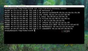 Checking the DHCP Leases log of Router from Terminal
