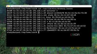 Checking the DHCP Leases log of Router from Terminal