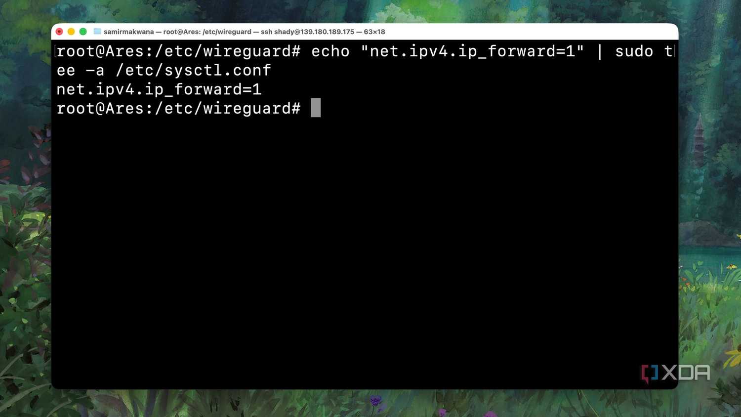 Checking whether IP forwarding is enabled on the VPS