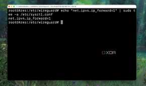 Checking whether IP forwarding is enabled on the VPS