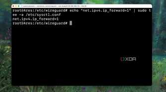 Checking whether IP forwarding is enabled on the VPS