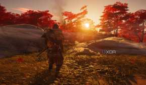 Golden hour in Ghost of Tsushima.