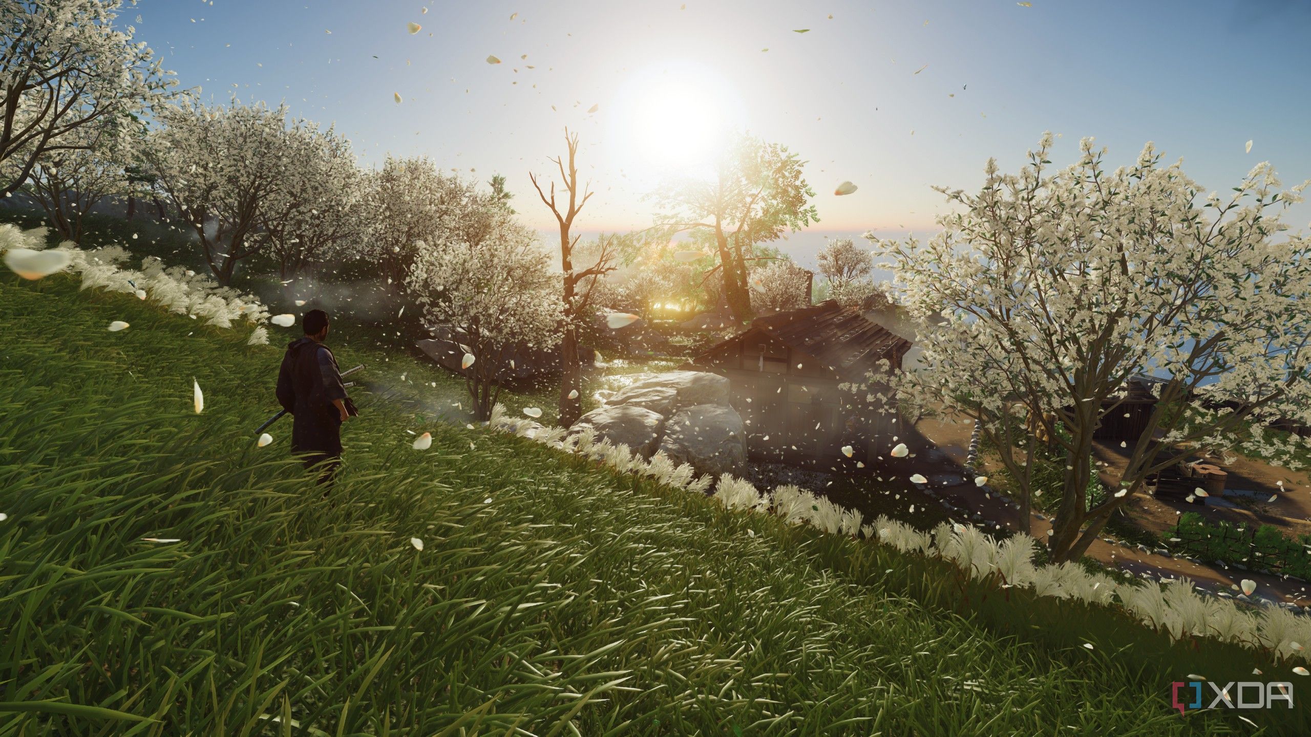 White flowers in a field in Ghost of Tsushima.