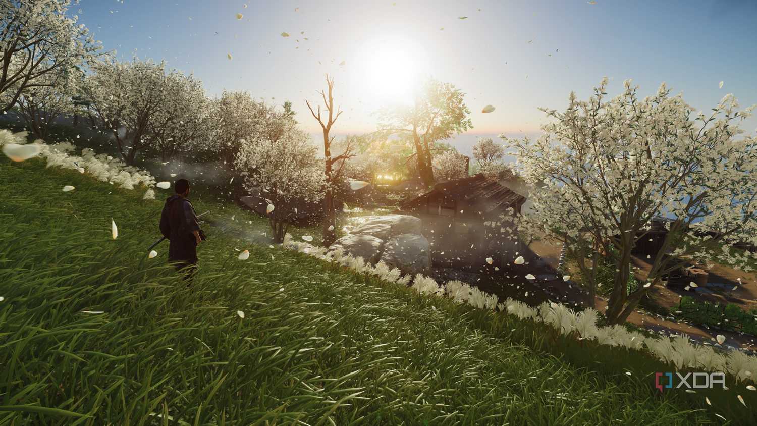 White flowers in a field in Ghost of Tsushima.