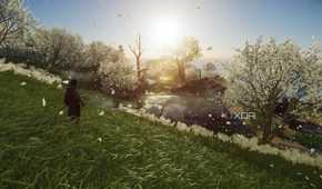 White flowers in a field in Ghost of Tsushima.