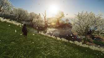 White flowers in a field in Ghost of Tsushima.