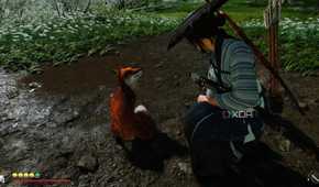 A screenshot of Atsu meeting a fox in Ghost of Yotei