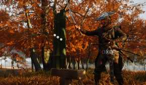 A screenshot of a bamboo cut in Ghost of Yotei