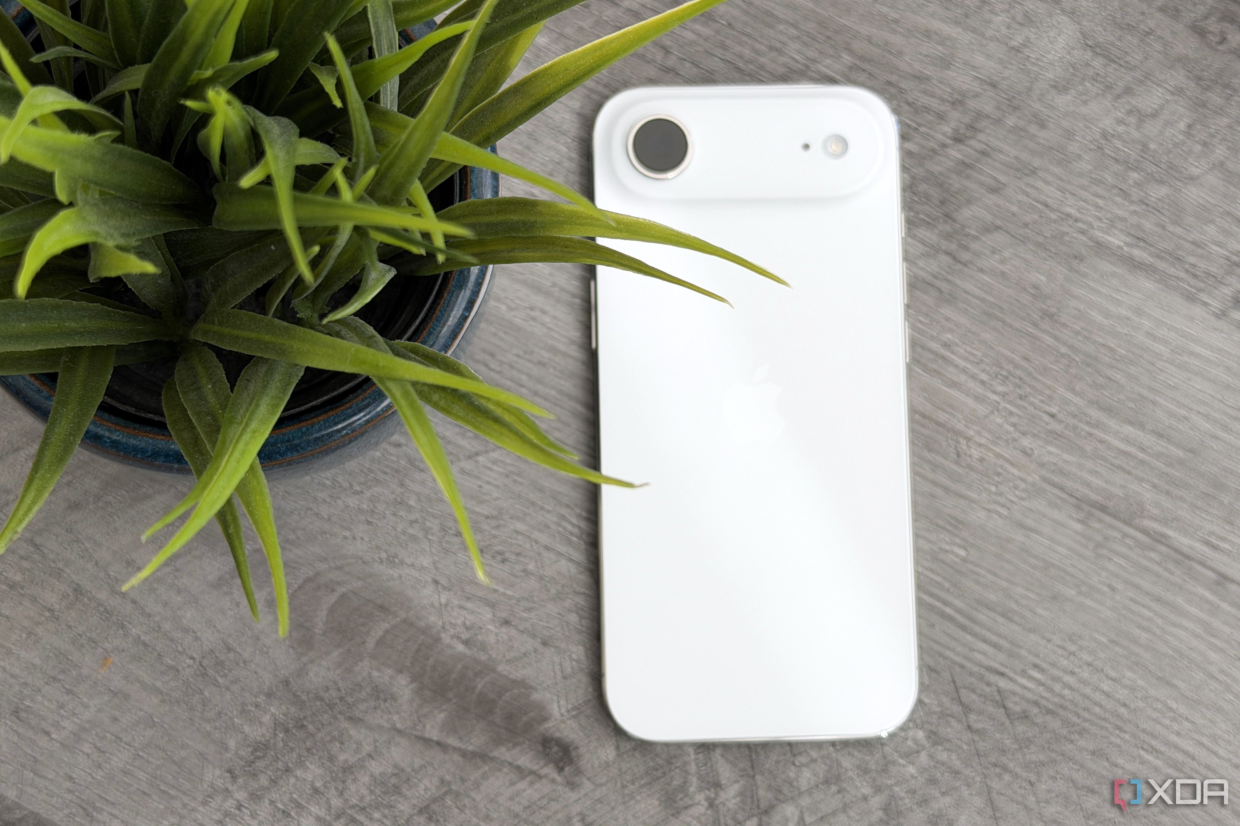 iphone-air-rear-flat-2
