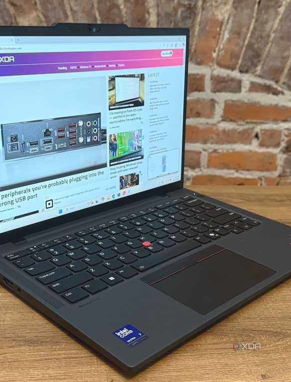 Developer Thinkpad This is the Linux distro I moved my non-tech family members to