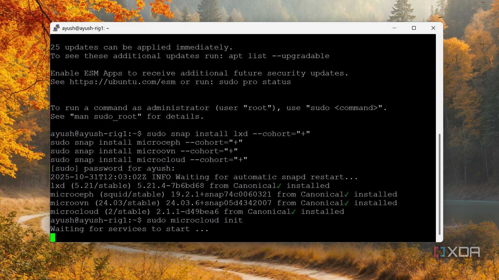 Canonical MicroCloud does what Proxmox won't: run on a Raspberry Pi without workarounds