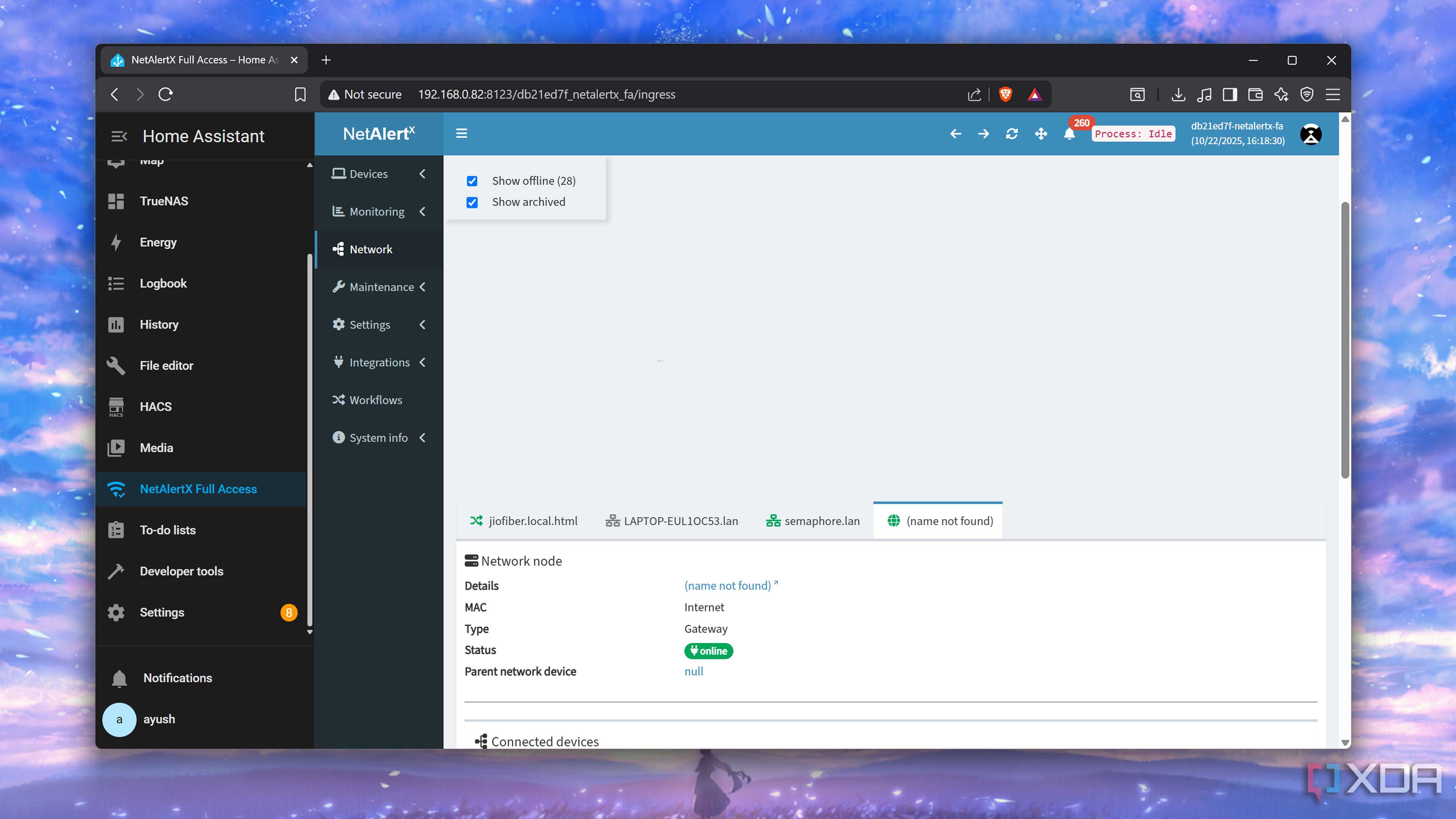 The network details in NetAlertX