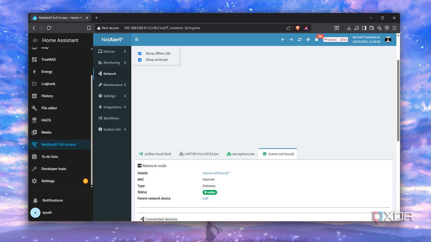 The network details in NetAlertX