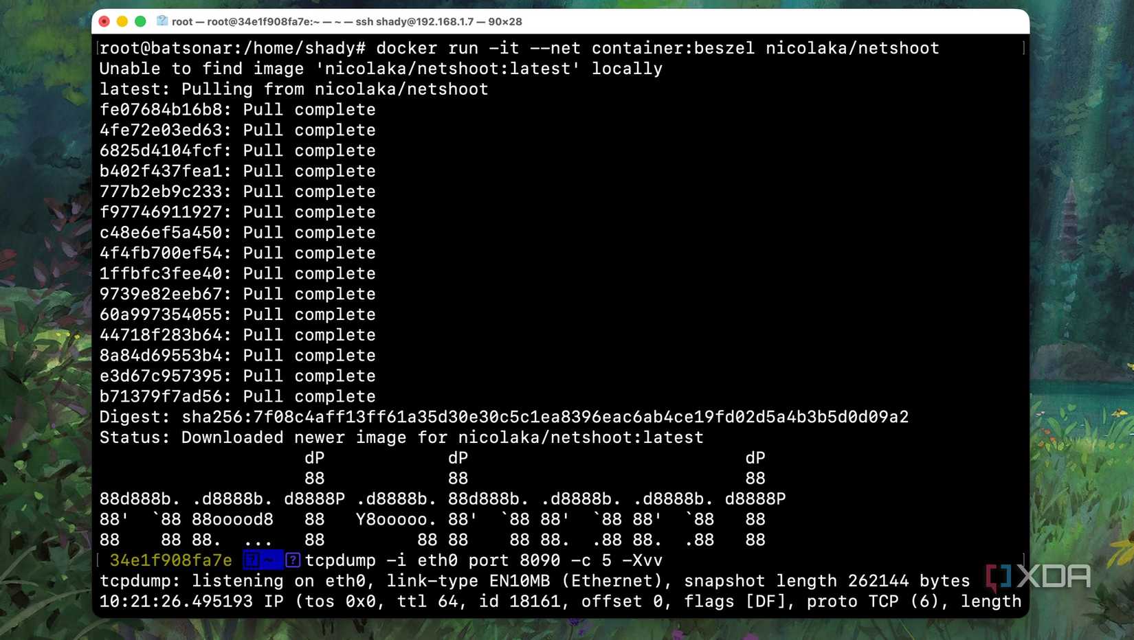 Obscure Container These 5 obscure Docker containers help solve my biggest smart home problems