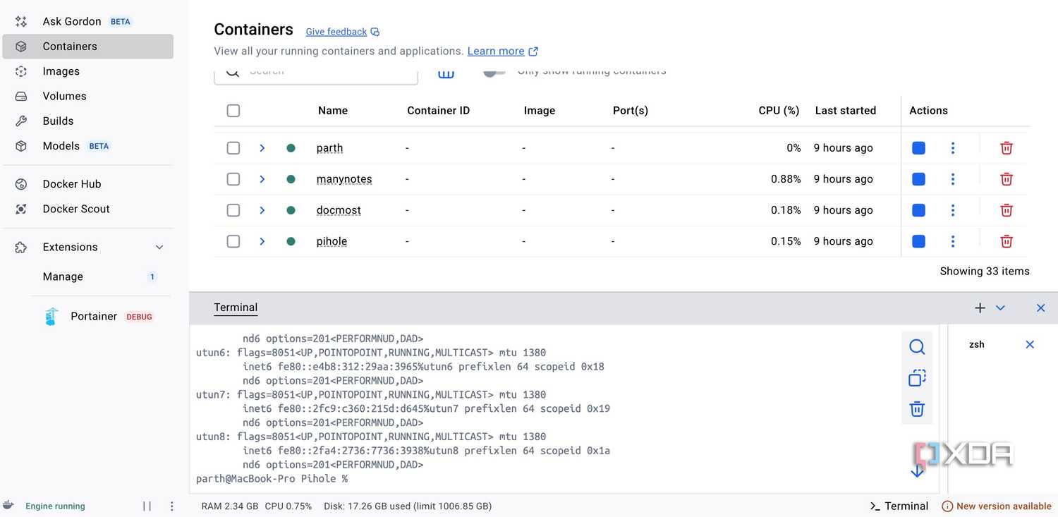 Pi-hole setup in Docker