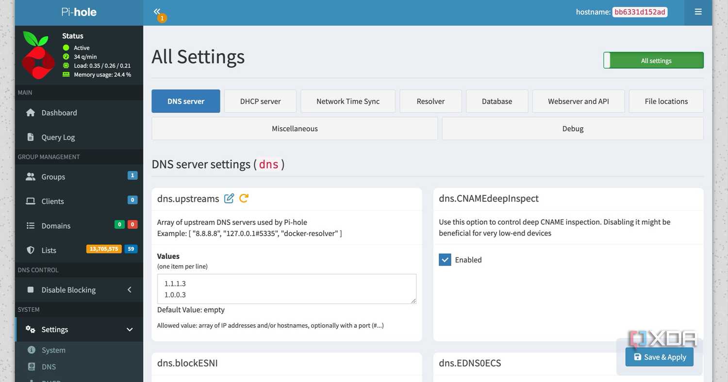 Pi-hole settings