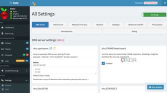 Pi-hole settings